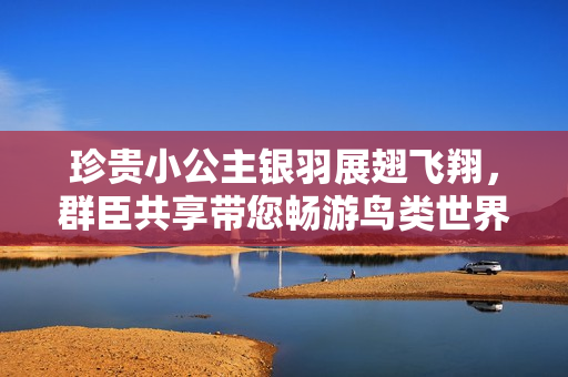 珍贵小公主银羽展翅飞翔，群臣共享带您畅游鸟类世界