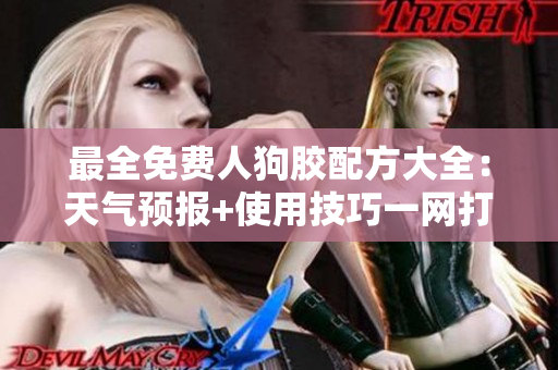最全免费人狗胶配方大全：天气预报+使用技巧一网打尽