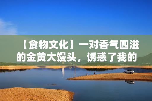 【食物文化】一对香气四溢的金黄大馒头，诱惑了我的味蕾！