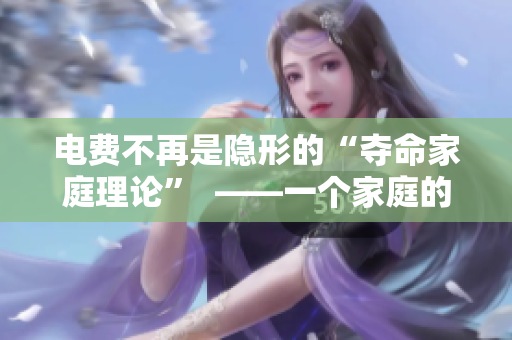 电费不再是隐形的“夺命家庭理论”  ——一个家庭的调查与反思
