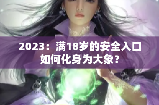 2023：满18岁的安全入口如何化身为大象？