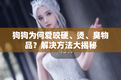 狗狗为何爱咬硬、烫、臭物品？解决方法大揭秘