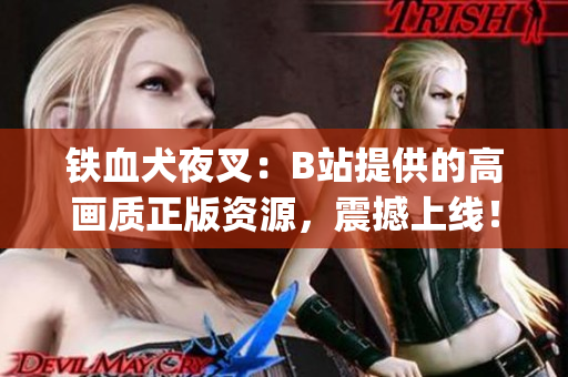 铁血犬夜叉：B站提供的高画质正版资源，震撼上线！(1)