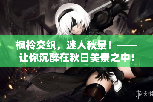 枫柃交织，迷人秋景！——让你沉醉在秋日美景之中！