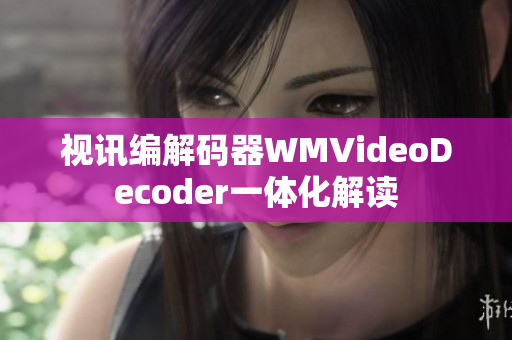 视讯编解码器WMVideoDecoder一体化解读
