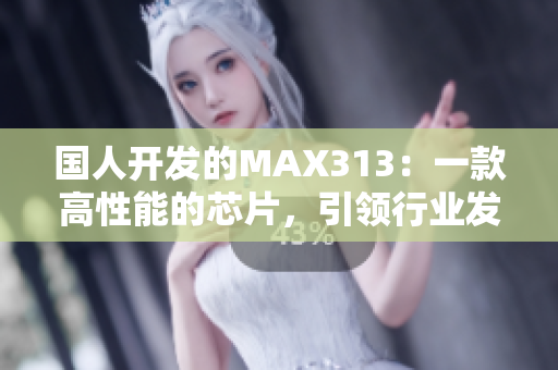 国人开发的MAX313：一款高性能的芯片，引领行业发展