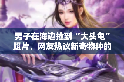 男子在海边捡到“大头龟”照片，网友热议新奇物种的来源与身世
