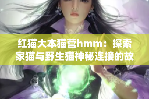 红猫大本猫营hmm：探索家猫与野生猫神秘连接的故事(1)