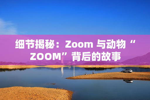 细节揭秘：Zoom 与动物“ZOOM”背后的故事