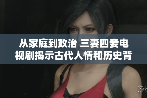 从家庭到政治 三妻四妾电视剧揭示古代人情和历史背景