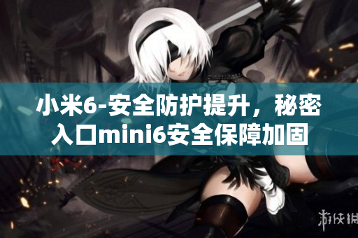 小米6-安全防护提升，秘密入口mini6安全保障加固