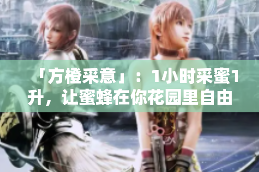 「方橙采意」：1小时采蜜1升，让蜜蜂在你花园里自由飞舞