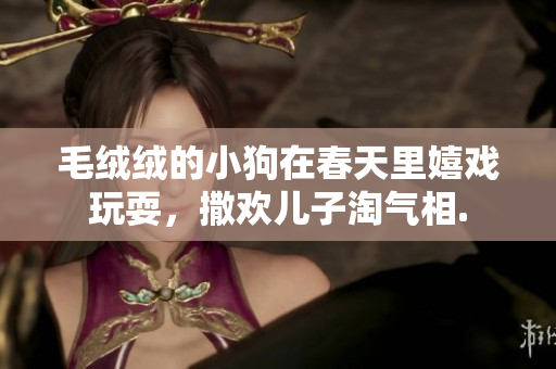 毛绒绒的小狗在春天里嬉戏玩耍，撒欢儿子淘气相.