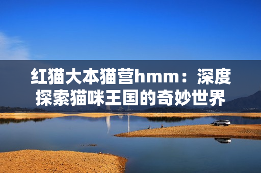 红猫大本猫营hmm：深度探索猫咪王国的奇妙世界