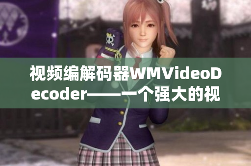 视频编解码器WMVideoDecoder——一个强大的视频编解码器