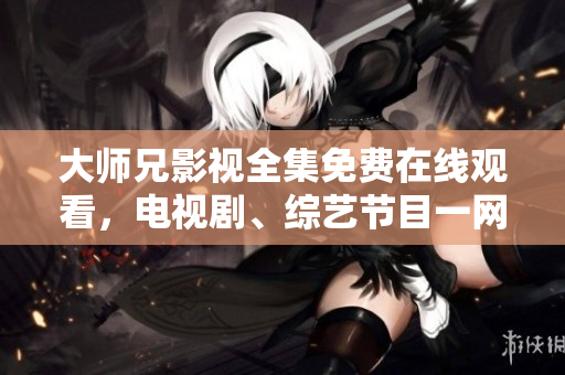 大师兄影视全集免费在线观看，电视剧、综艺节目一网打尽