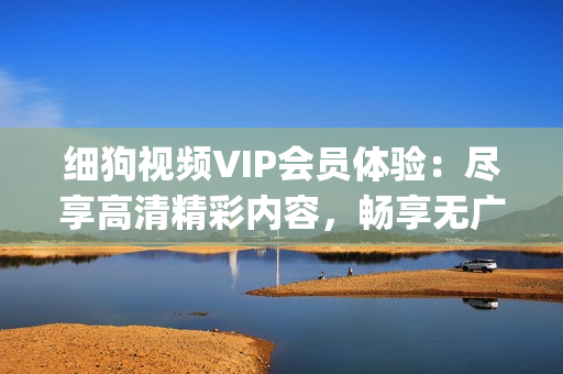 细狗视频VIP会员体验：尽享高清精彩内容，畅享无广告观影乐趣(1)