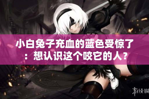 小白兔子充血的蓝色受惊了：想认识这个咬它的人？
