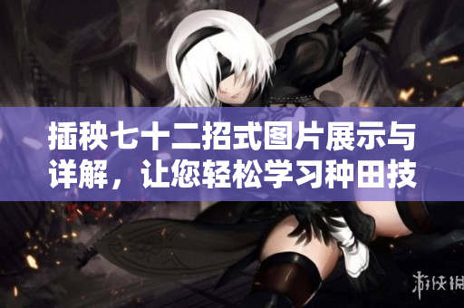 插秧七十二招式图片展示与详解，让您轻松学习种田技巧