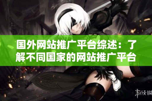 国外网站推广平台综述：了解不同国家的网站推广平台