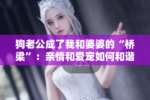 狗老公成了我和婆婆的“桥梁”：亲情和爱宠如何和谐共存