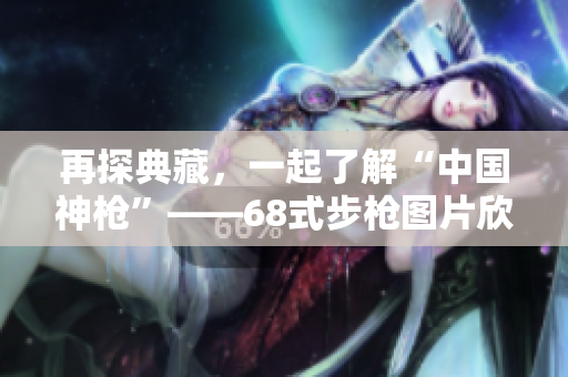 再探典藏，一起了解“中国神枪”——68式步枪图片欣赏