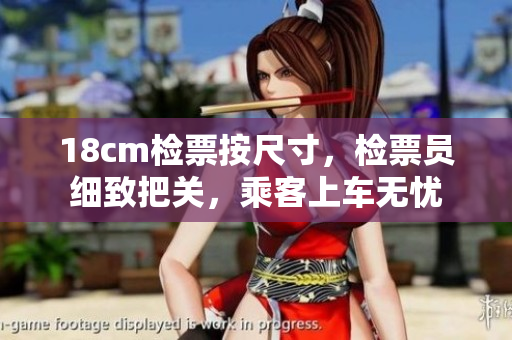 18cm检票按尺寸，检票员细致把关，乘客上车无忧
