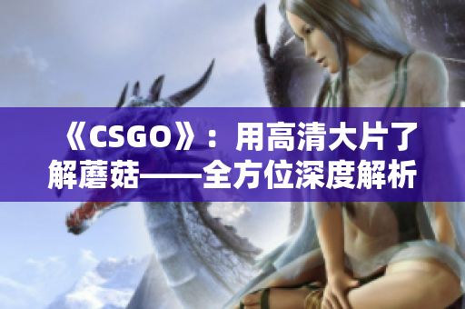 《CSGO》：用高清大片了解蘑菇——全方位深度解析战术套路