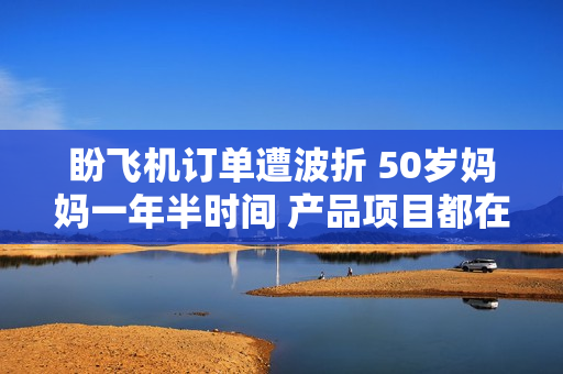 盼飞机订单遭波折 50岁妈妈一年半时间 产品项目都在下降