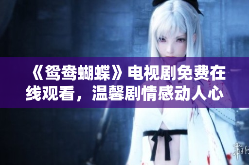 《鸳鸯蝴蝶》电视剧免费在线观看，温馨剧情感动人心!