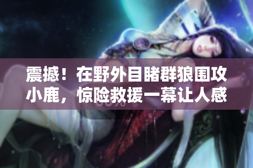 震撼！在野外目睹群狼围攻小鹿，惊险救援一幕让人感动