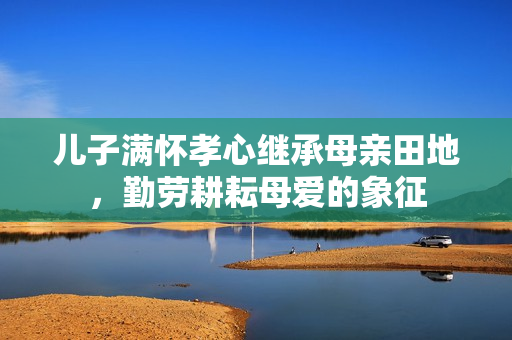 儿子满怀孝心继承母亲田地，勤劳耕耘母爱的象征