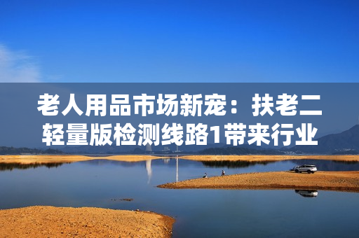 老人用品市场新宠：扶老二轻量版检测线路1带来行业革新