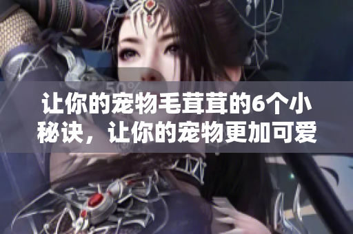 让你的宠物毛茸茸的6个小秘诀，让你的宠物更加可爱和舒适
