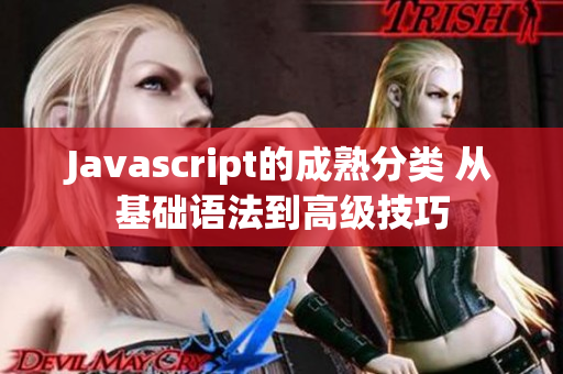 Javascript的成熟分类 从基础语法到高级技巧