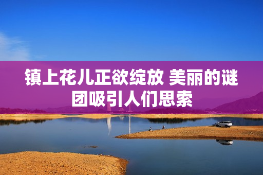镇上花儿正欲绽放 美丽的谜团吸引人们思索