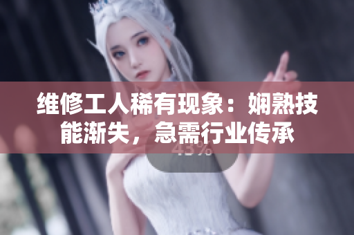 维修工人稀有现象：娴熟技能渐失，急需行业传承