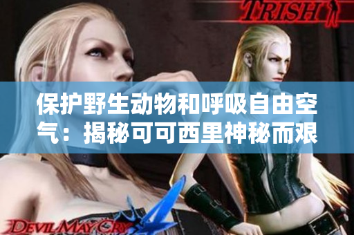 保护野生动物和呼吸自由空气：揭秘可可西里神秘而艰苦的艺术生活