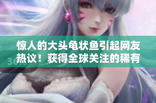 惊人的大头龟状鱼引起网友热议！获得全球关注的稀有物种终于亮相！