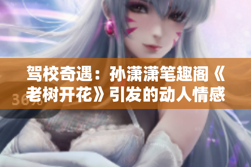 驾校奇遇：孙潇潇笔趣阁《老树开花》引发的动人情感故事