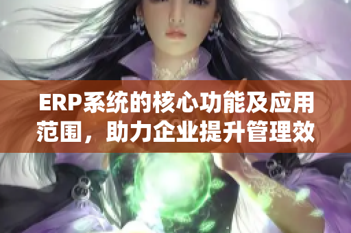 ERP系统的核心功能及应用范围，助力企业提升管理效率